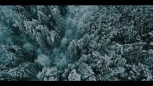 Marco Chili - Jägerbomb