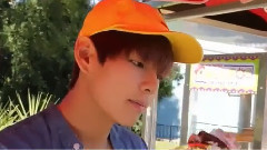 95line Vapp Cut