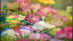 Violin & Freesia