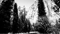 Take This Light (превод)