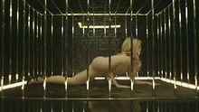 The Making of She Wolf Part 3