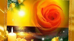 Fiery Roses