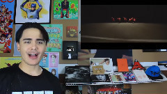 Fly MV Reaction