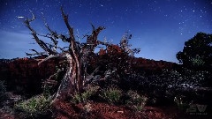 Landscapes
