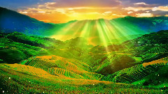 我家在瑶山