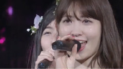 桜の花びらたち