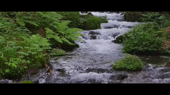 绿色溪流