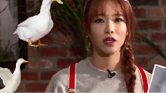 Hae-na Profile