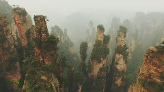 For Something Lost