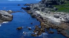 碧海潮生曲