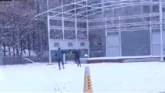 雪花