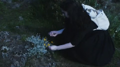 Splintered Arms