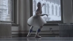 The Snow Fell