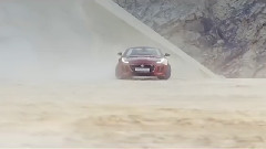 Run Wild