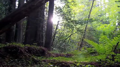 Spirituality