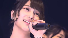 365日の纸飞行机