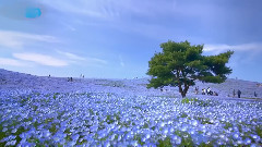 此地他方