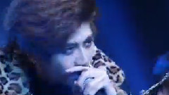 说吧Yes Or No