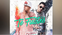 Te Fuistes