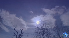 Shine
