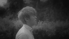 我若不是你最爱的人