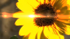 Sweet Nectar