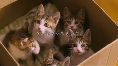 グーグーだって猫である2 プロモーション映像 90秒