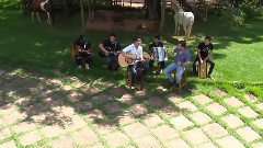 Vida e Saudade