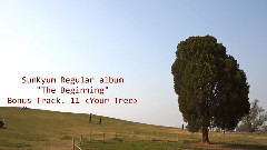 Your Tree