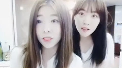 HELLOVENUS V LIVE