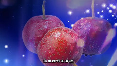山里红