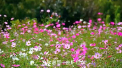 芊芊子吟