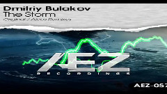 The Storm (Original Mix)