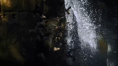 伊瓜苏强音