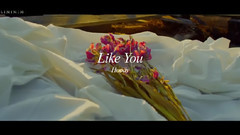 Like You