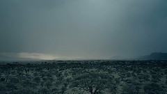 尽情哭泣