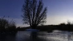 Winter Dust (Original Mix)