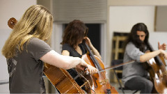 Cello Fury