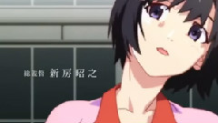 猫物语白PV