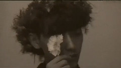 愛桃色系列