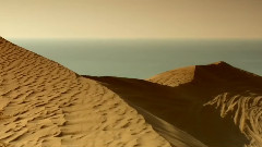Amazing Qatar