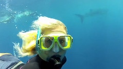 Bethany Hamilton Swimming With Sharks