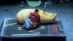 Larva
