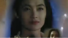 真心真情