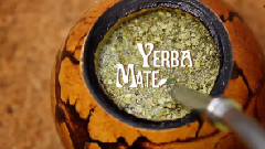 Yerba Mate