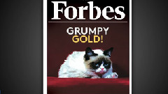 Grumpy Cat - The Forbes Interview