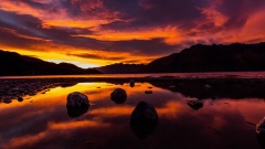Oneness New Zealand