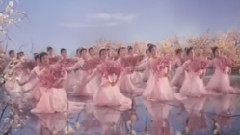 蝶恋花