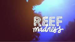 Reef Madness