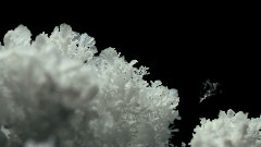 水
